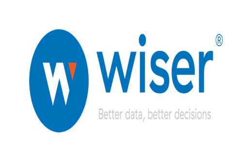 Stretched Wiser icon, logo, tagline.