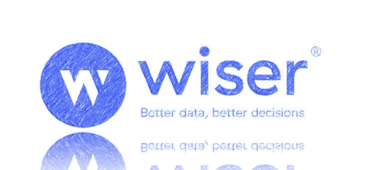 Wiser icon, logo, tagline with artistic effects.