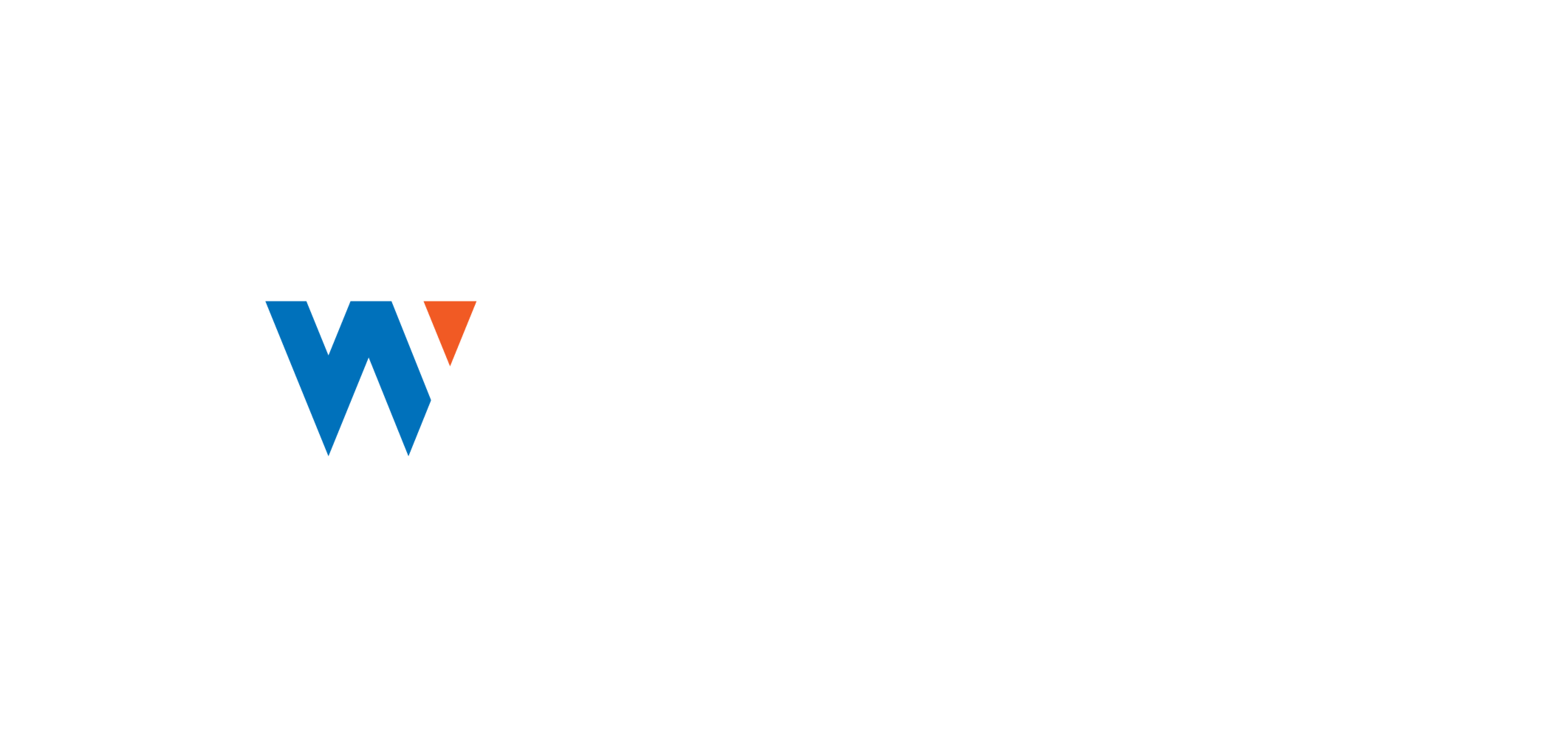 Wiser Icon Logo White